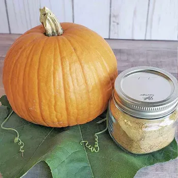 Fresh Pumpkin